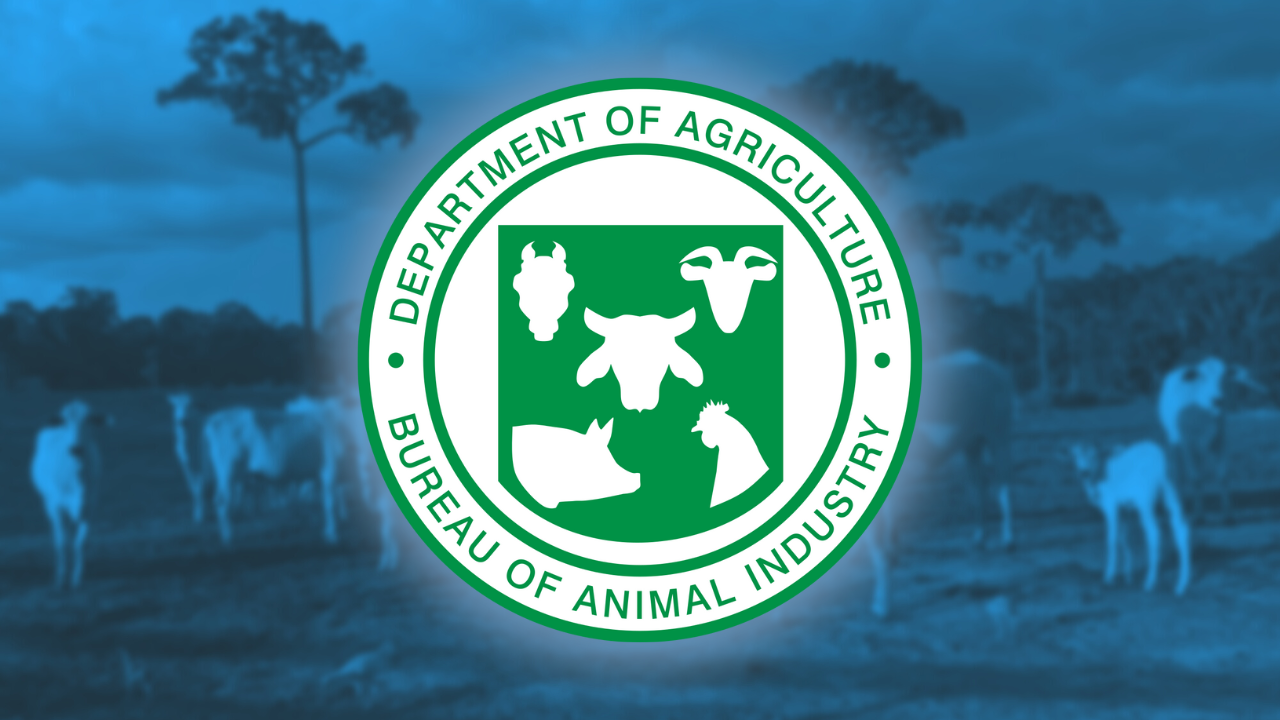 BAI warns vs fake swine flu program social media accounts