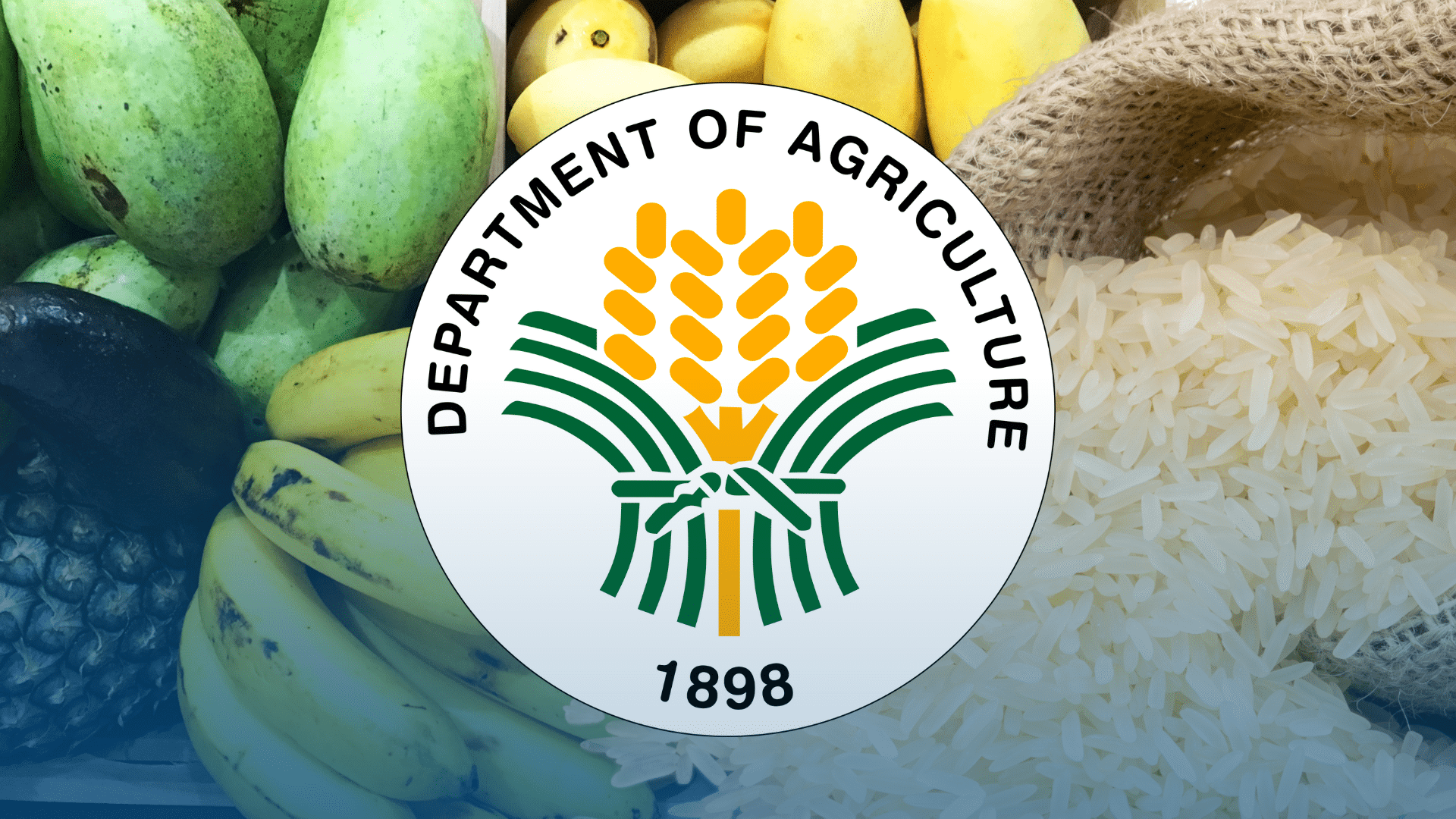 DA: PH presses Vietnam on fair rice trade
