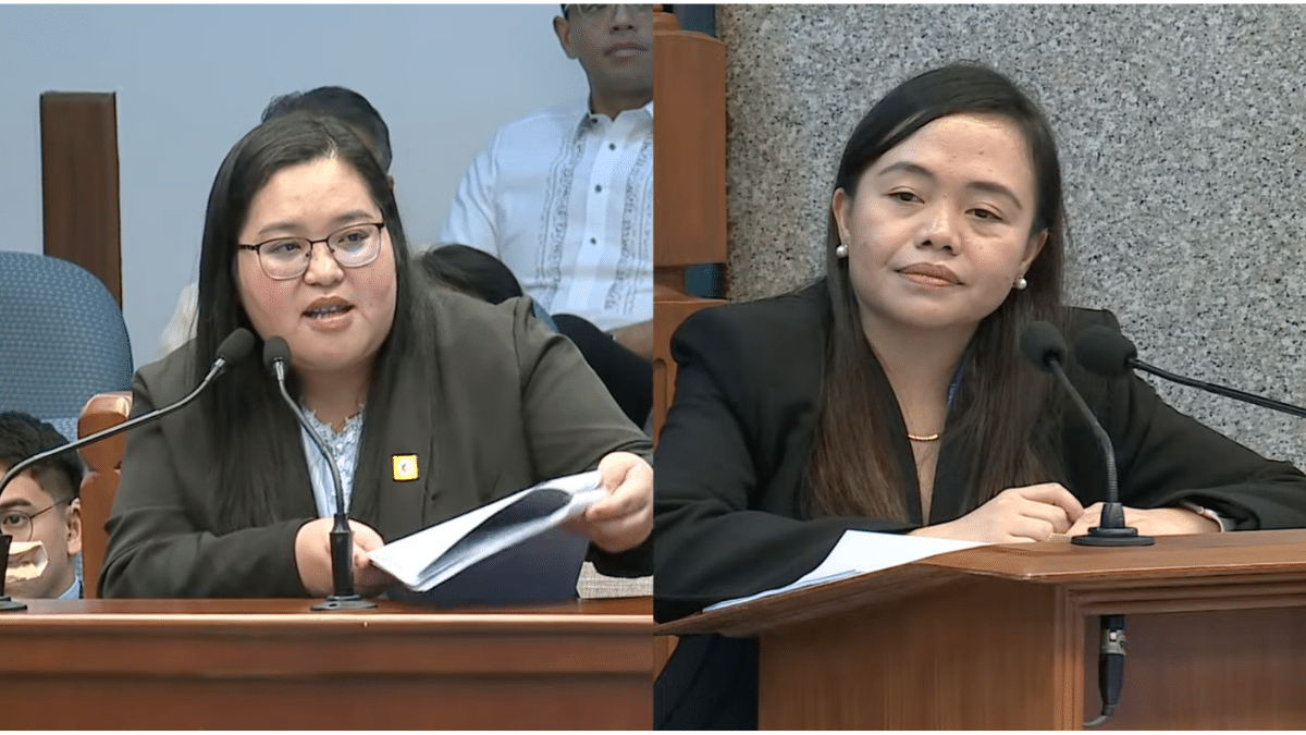WATCH: Auditor says OVP activities were part of intelligence gathering