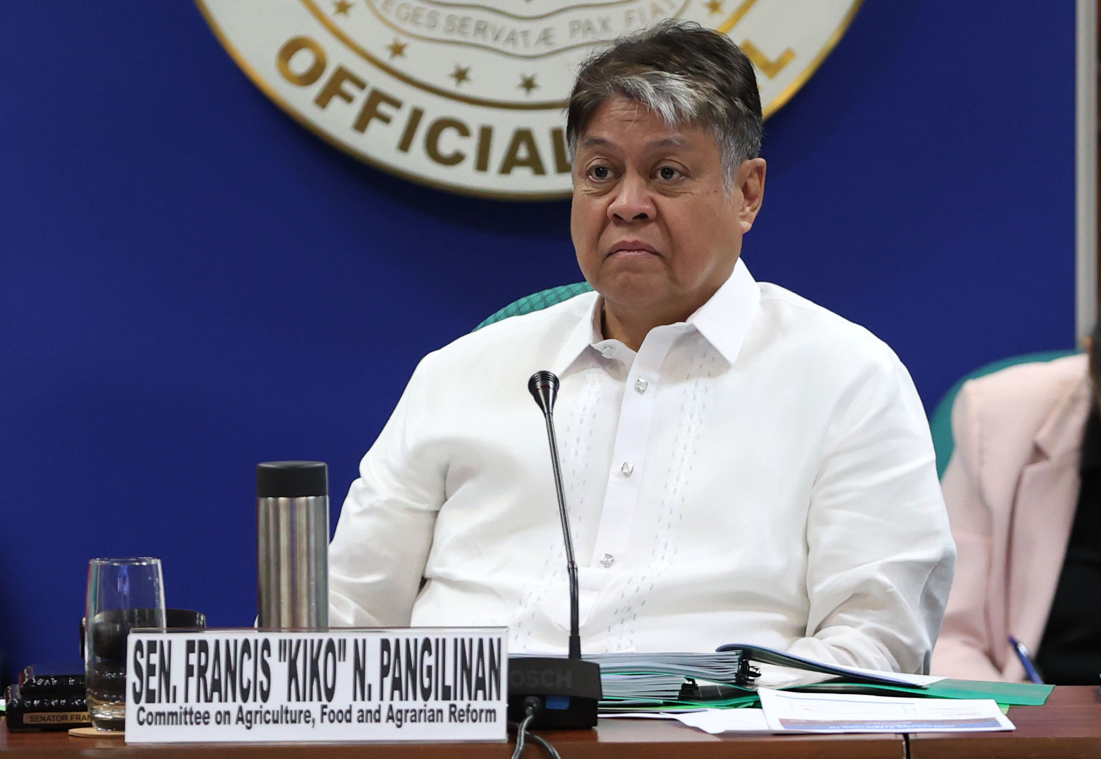 Passage of antiscalping law pushed ahead of BTS Manila concert