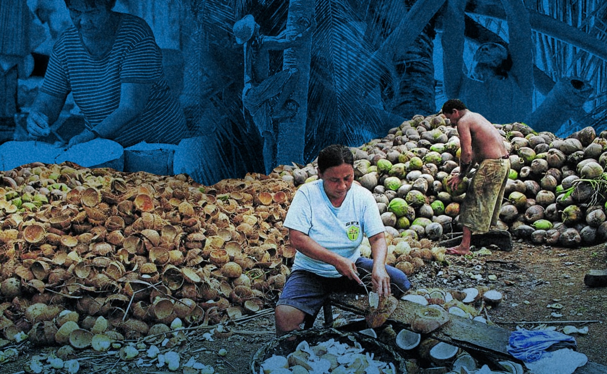 Future of two coco institutions serving farmers in limbo