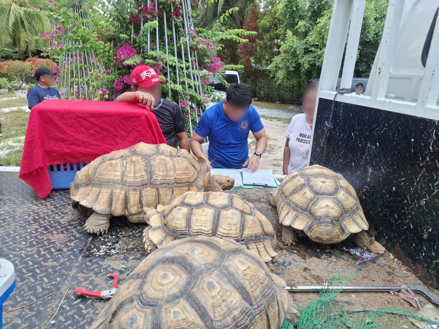 CIDG nabs resort manager for keeping endangered wildlife in Cebu