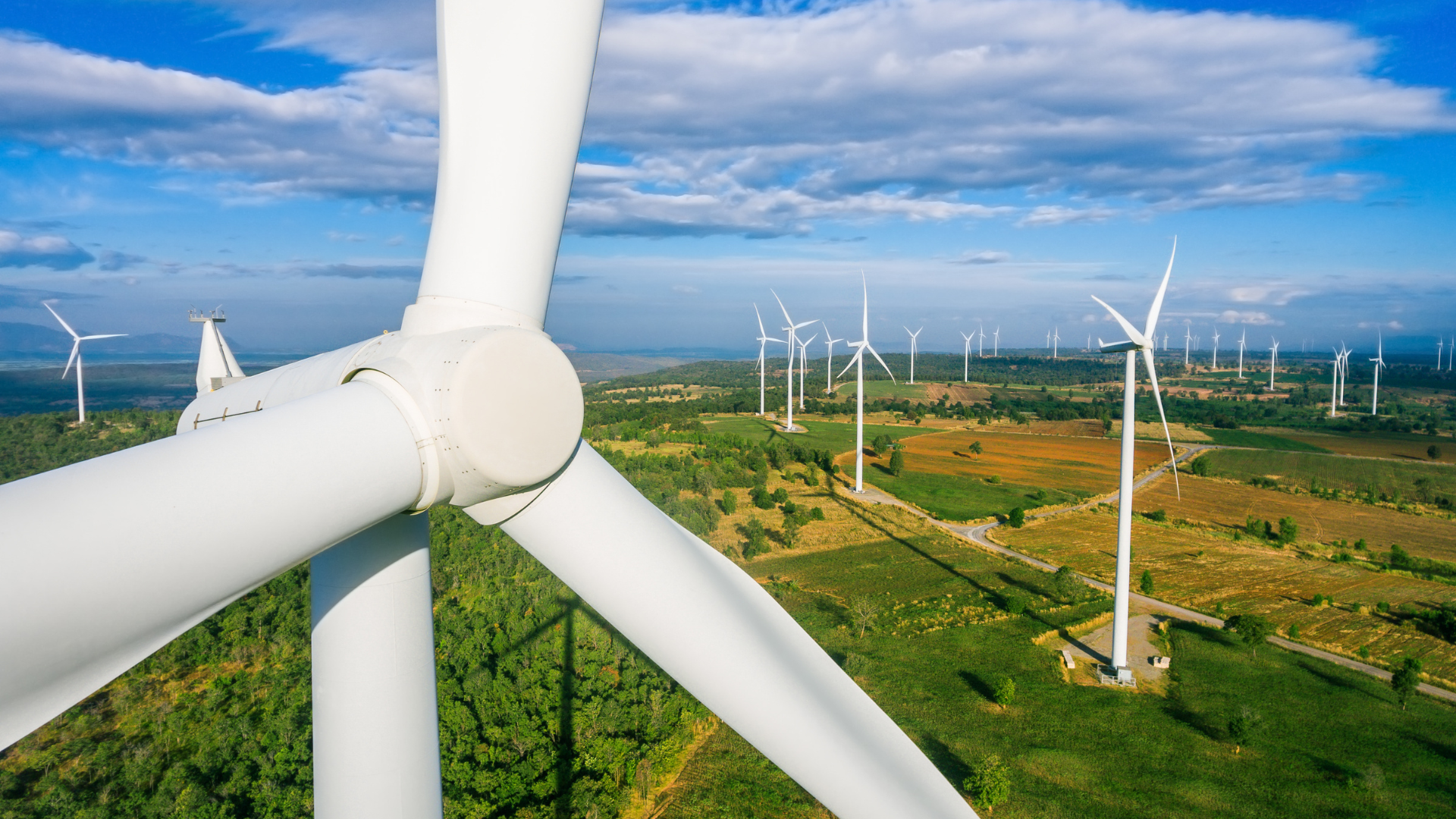 Spanish firm bullish on Laguna wind park