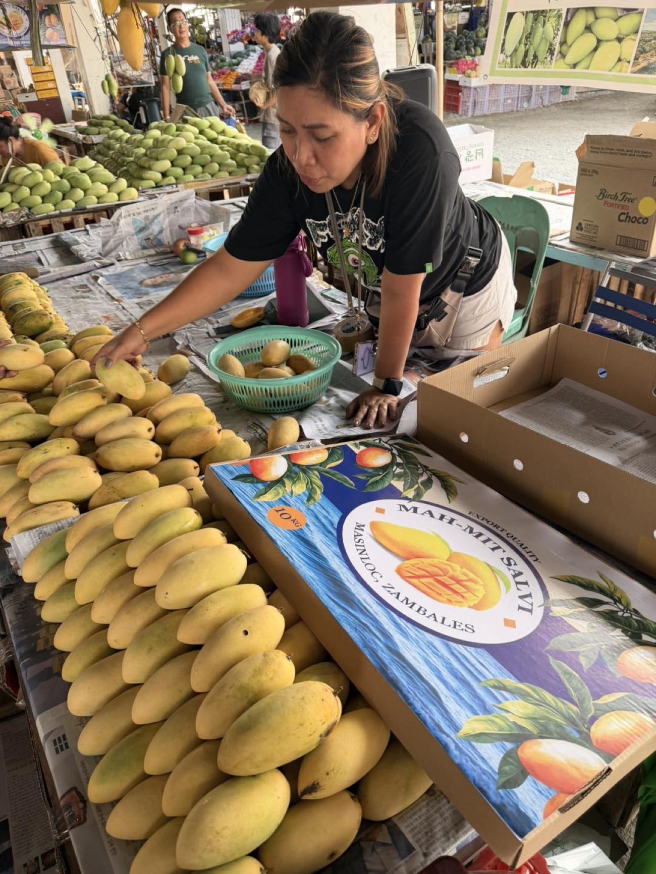 P727-million road project to link Zambales farms to markets