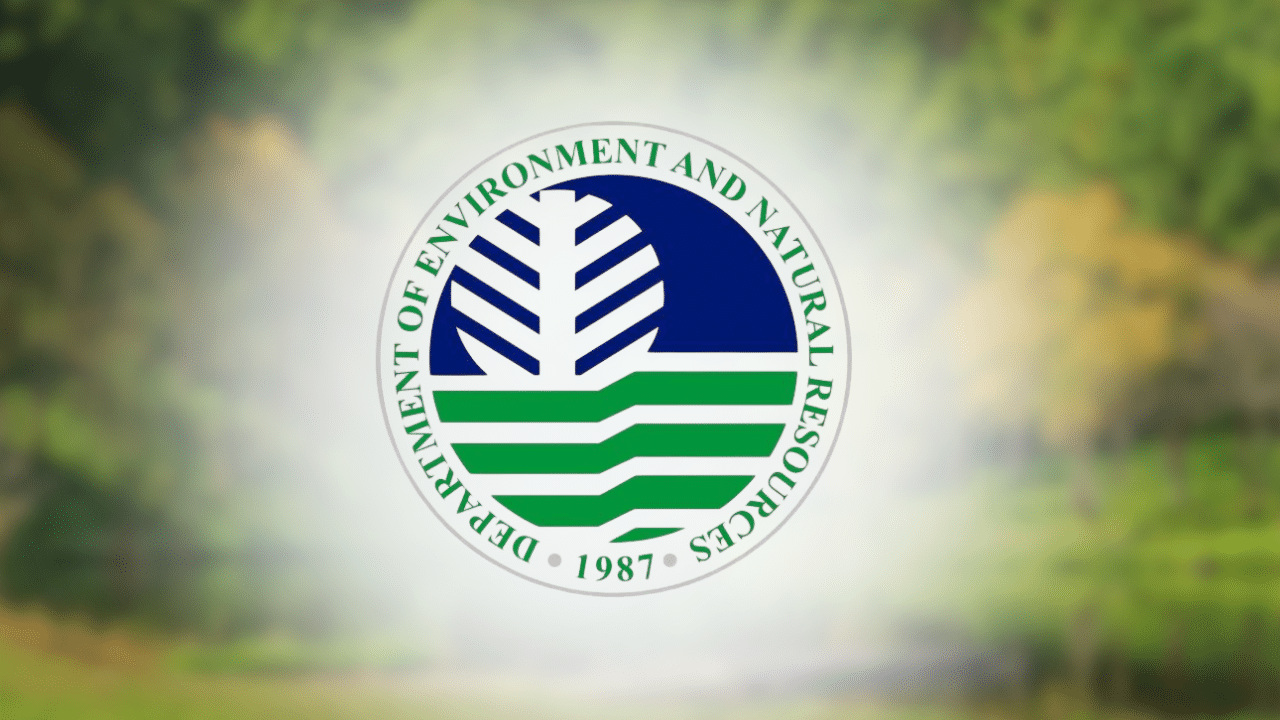 Marikina urges DPWH, DENR to protect trees in bridge project
