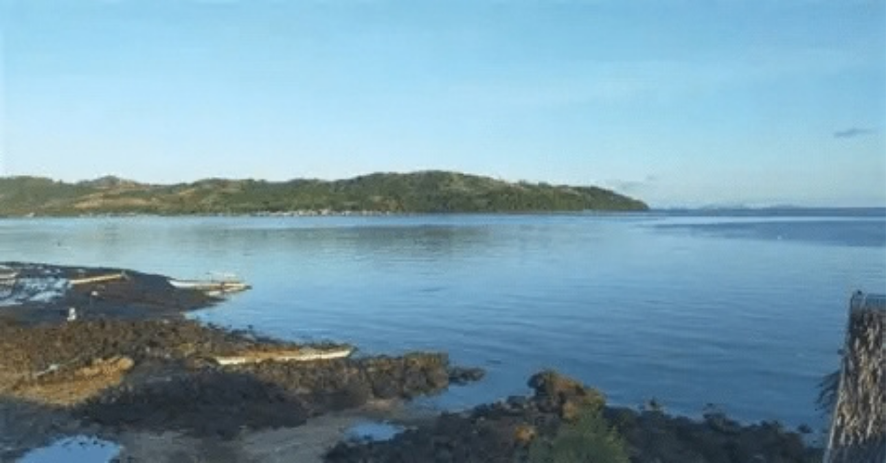 BFAR warns public as red tide detected in Samar, Leyte waters