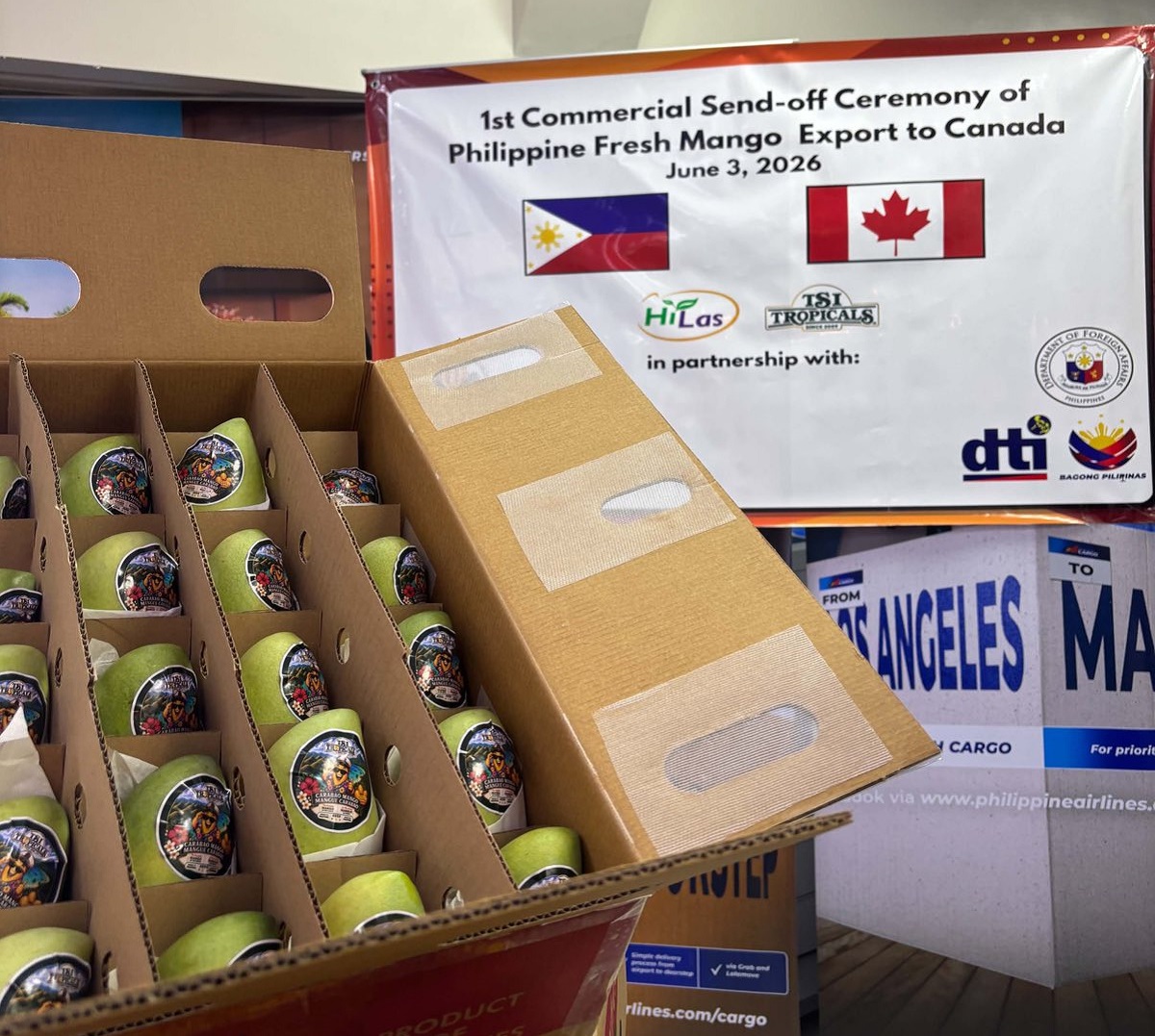 Philippine mangoes debut in Canada