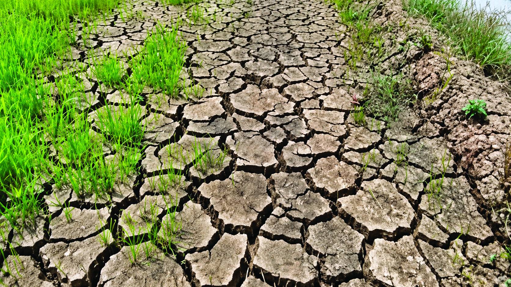El Niño puts 106 areas under state of calamity; over 300,000 individuals affected