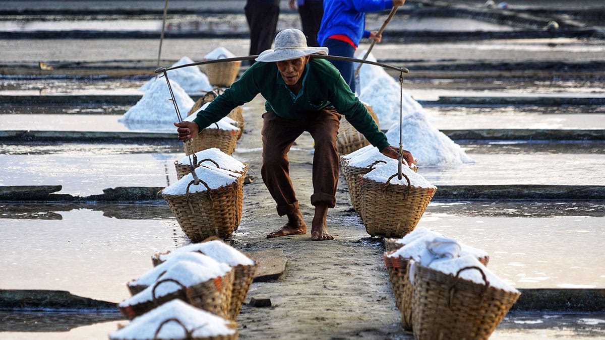 Pangasinan, BFAR join hands for salt industry development