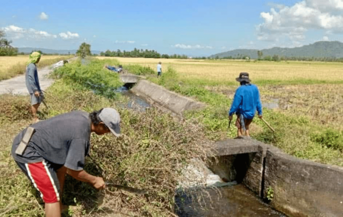 NIA clears irrigation canals in Bicol to ease El Niño impact
