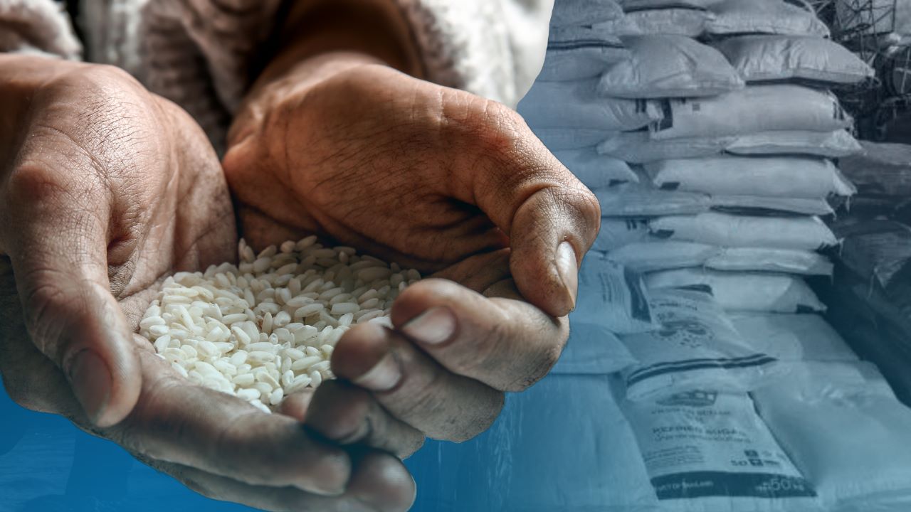 El Niño threatens Mindoro rice production, supply