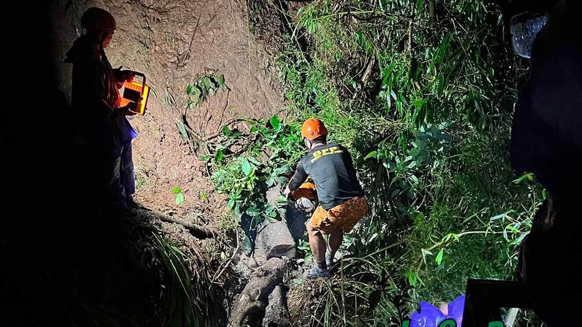 ‘Habagat’ topples trees, triggers landslide in Baguio City