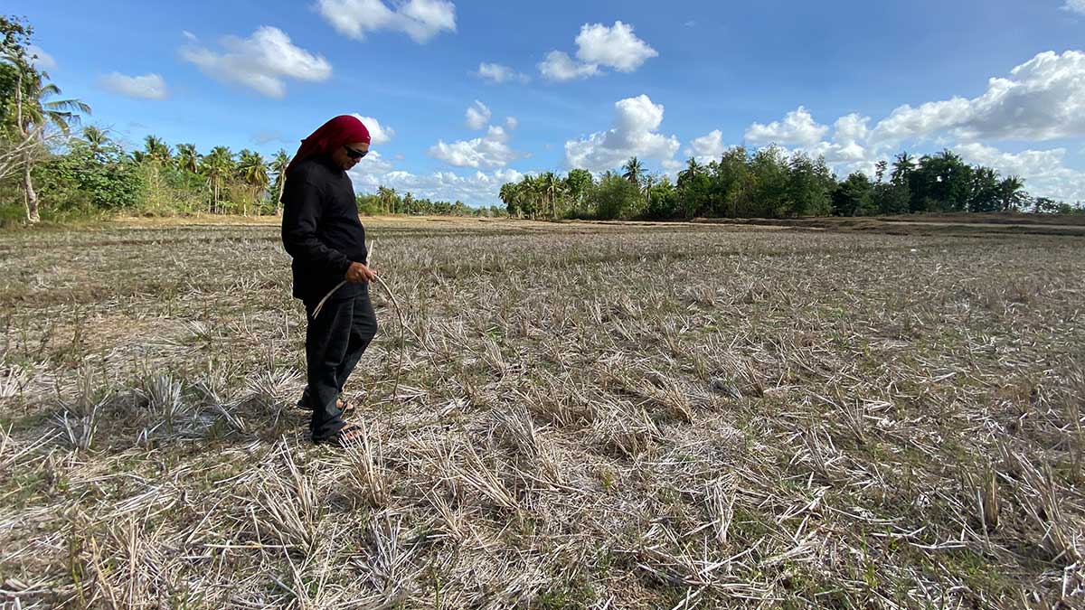 Bohol ramps up El Niño preparedness measures