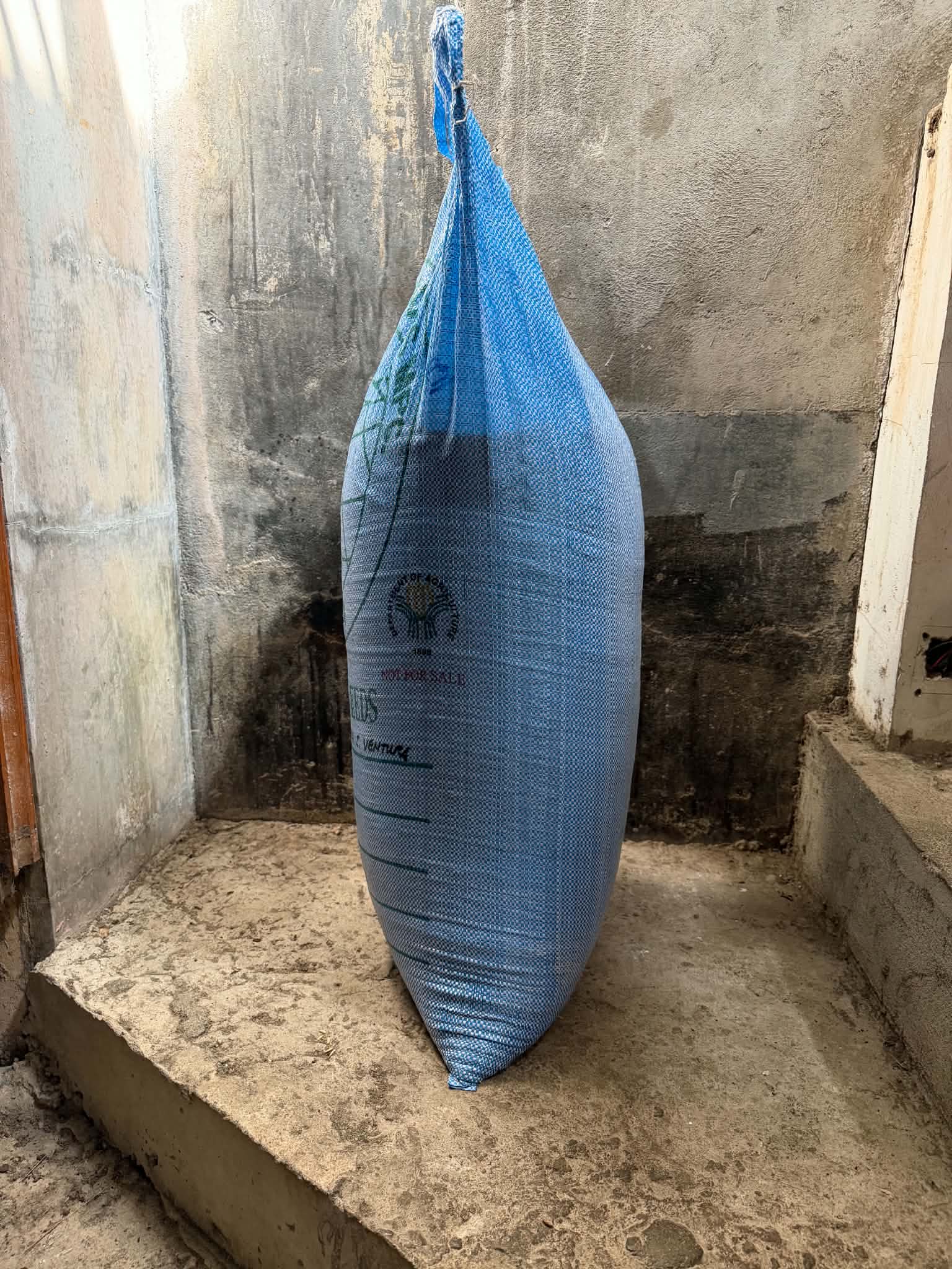 Cagayan town lifts suspension of supplier of ‘not for sale’ grains