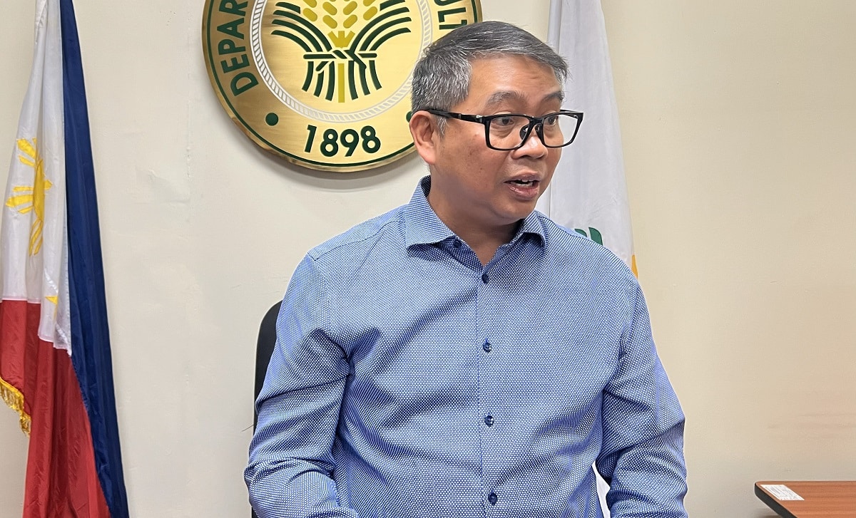 DA: Palay harvest drops to lowest levels since 2019