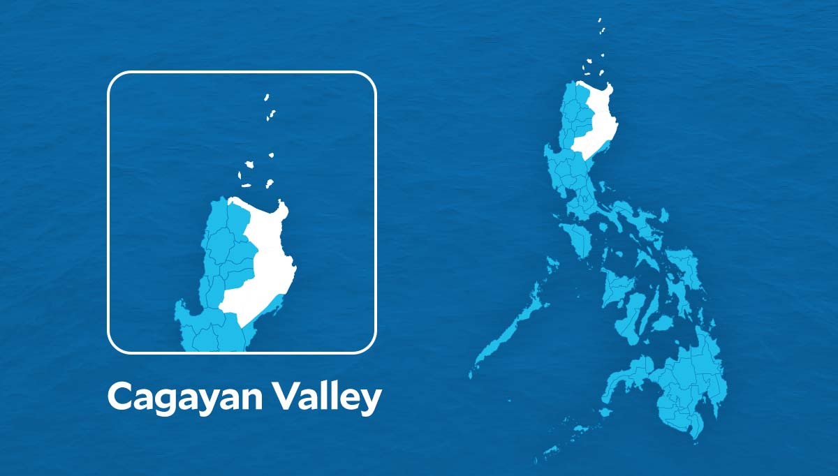 P12.9M marijuana, P1.3M illegal logs seized in Cagayan Valley