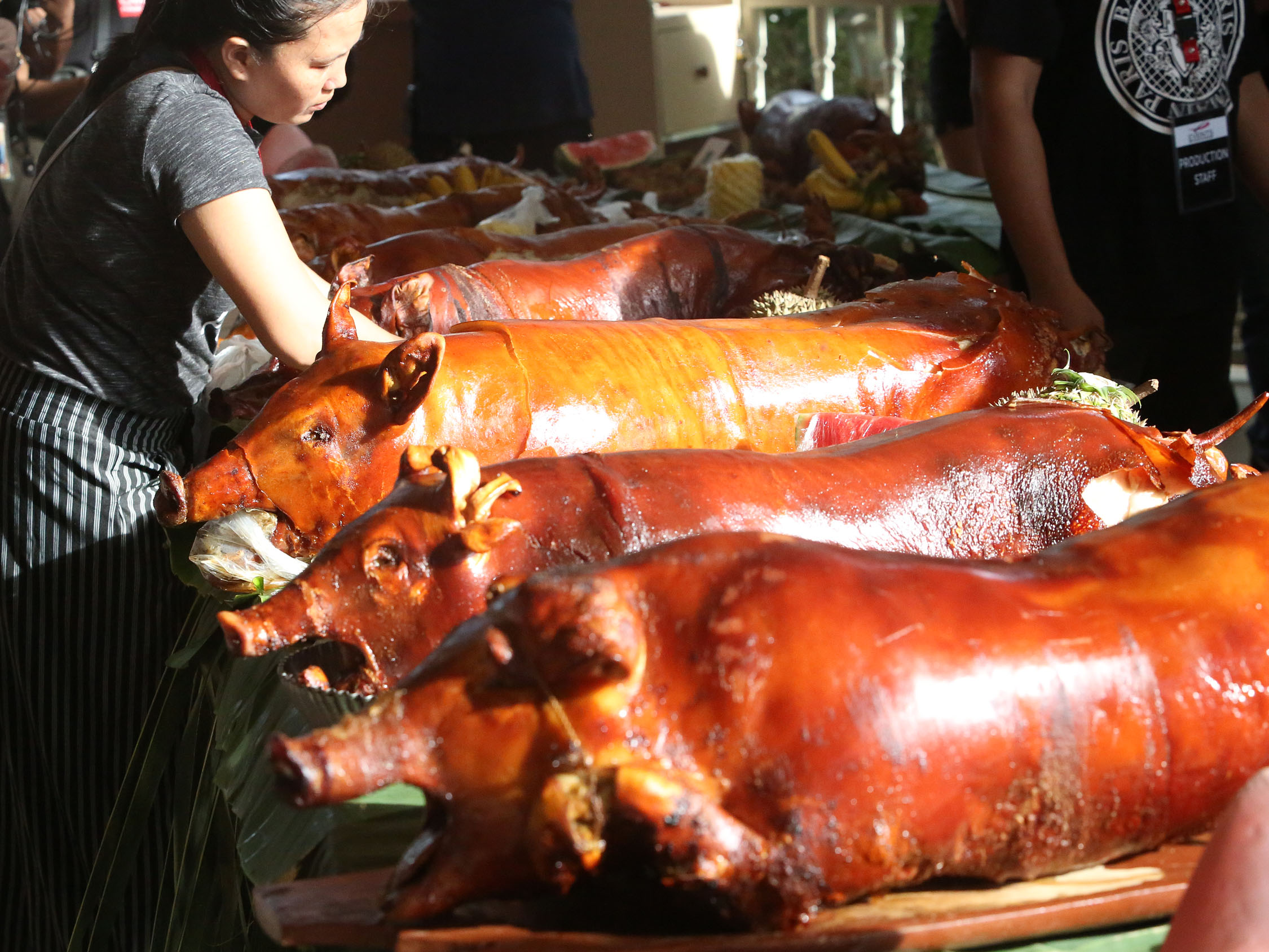 Cebu eases anti-ASF controls for lechon production