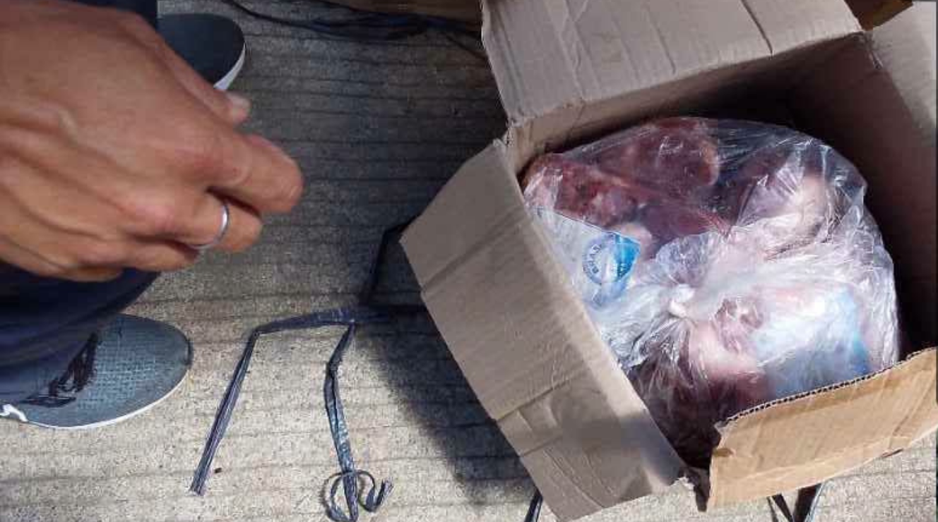 ‘Hot meat’ seized in Cagayan