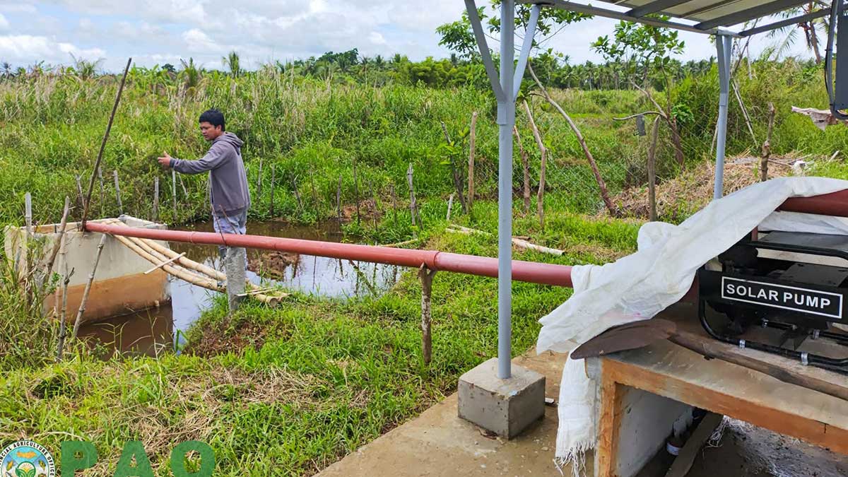 Northern Samar eyes solar-powered irrigation to boost rice output