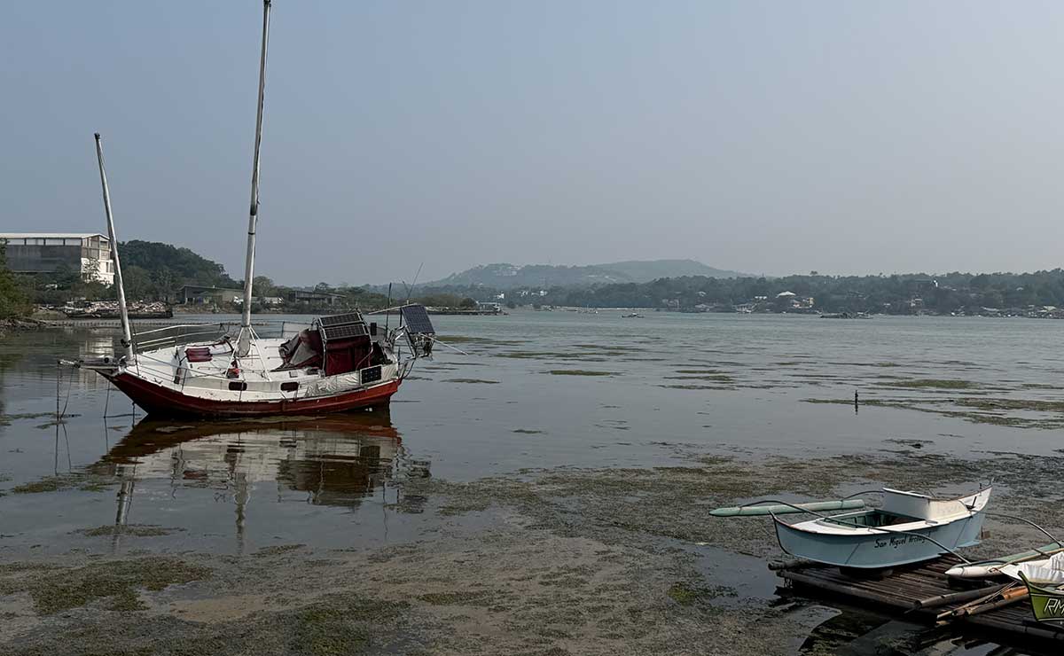 Bohol residents urged to wear masks as haze thickens across province