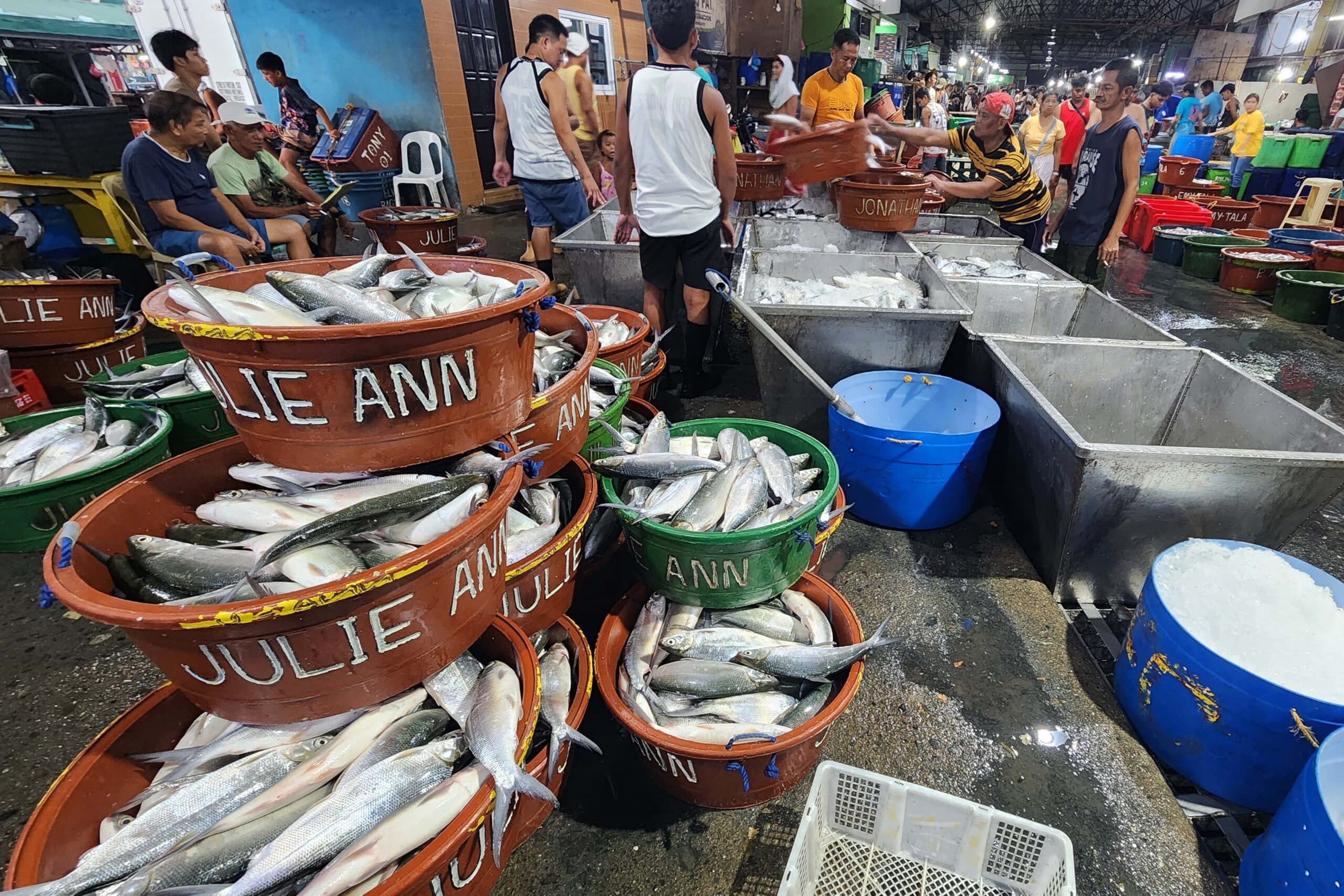 LOOK: Dagupan ‘bangus’ harvest peaks on Holy Wednesday