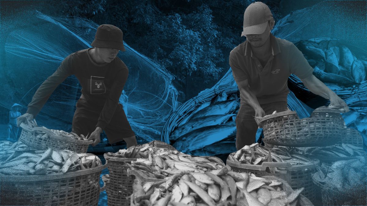 ‘Protect our seas’: Fisherfolk respond to Marcos’ Sona
