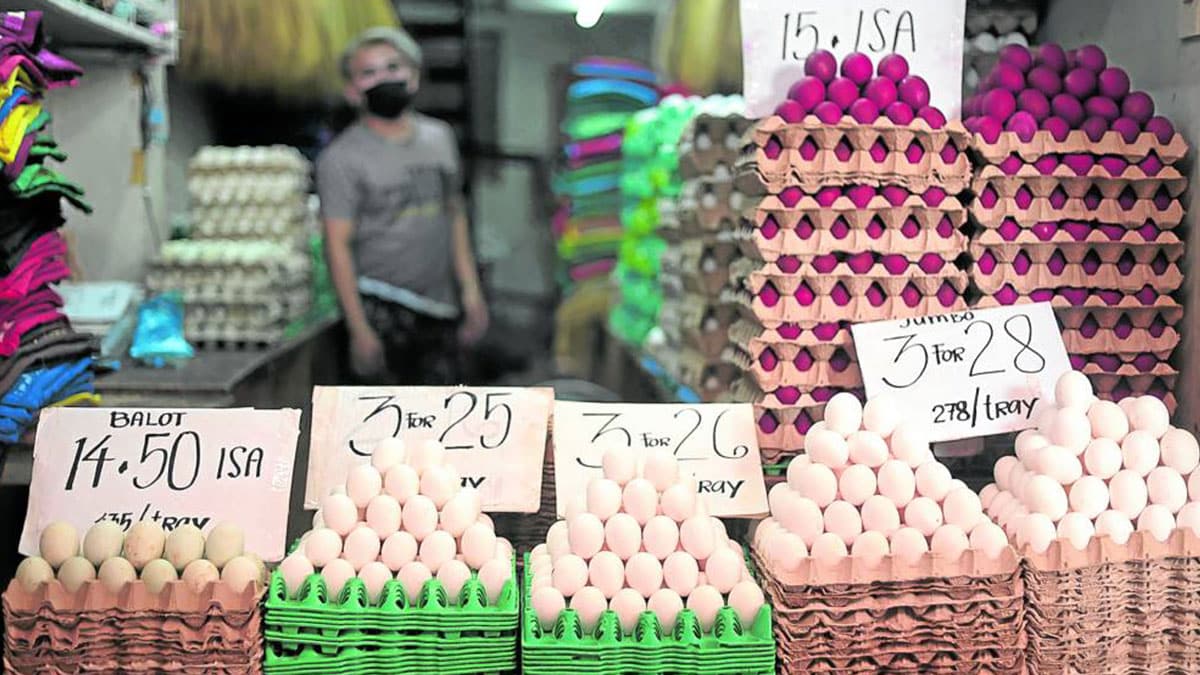 Egg producers get P66M for Batangas egg plant expansion