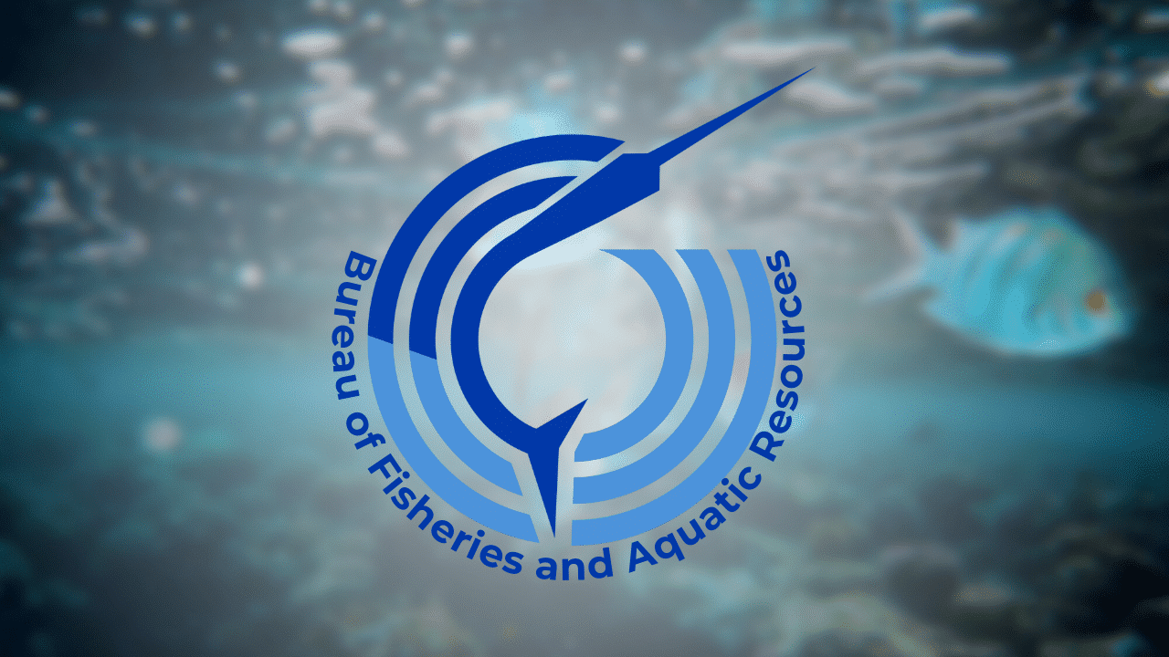 P10-M fish hatchery in Albay to boost Bicol aquaculture sector