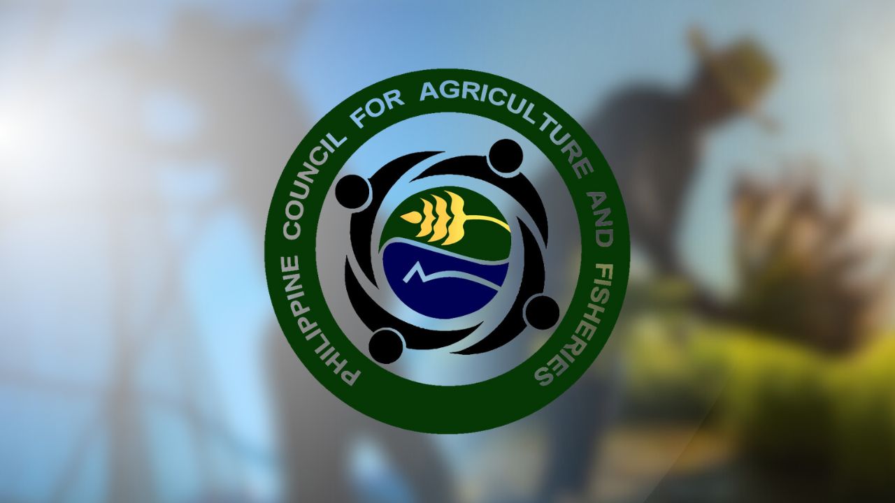 Gov’t studying use of corn as bioethanol feedstock
