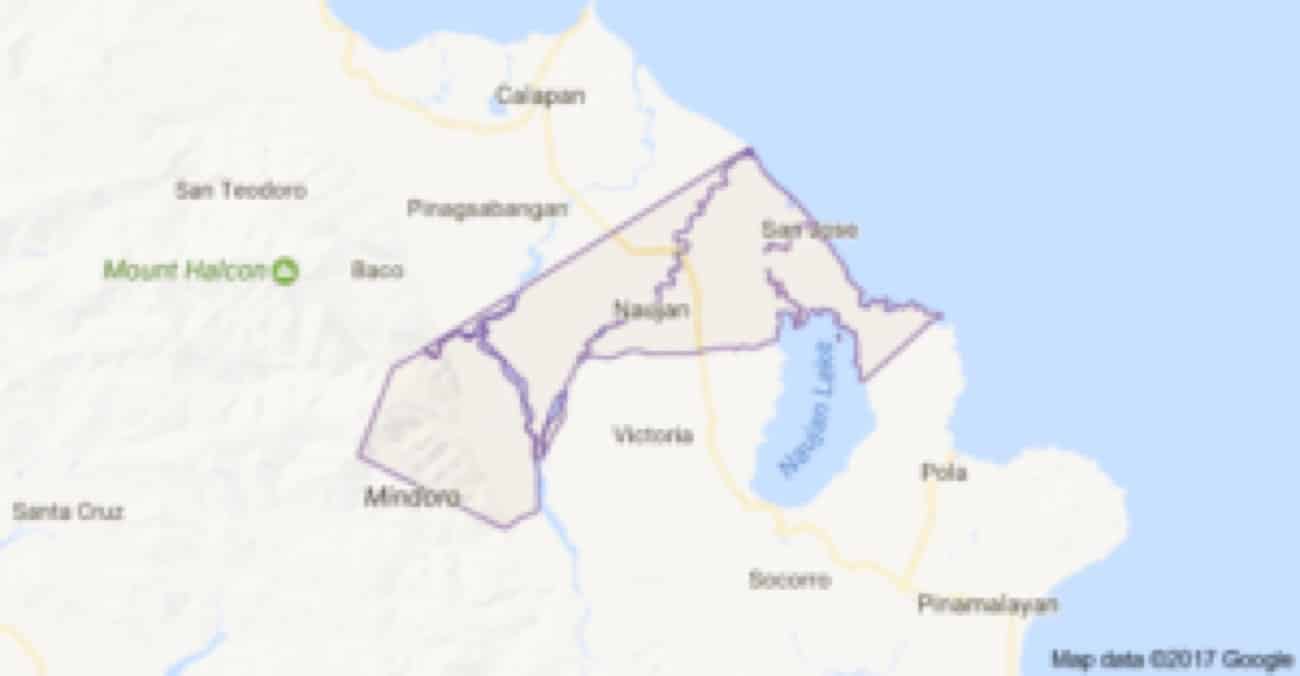 Classes suspended in parts of Naujan due to military, NPA clash