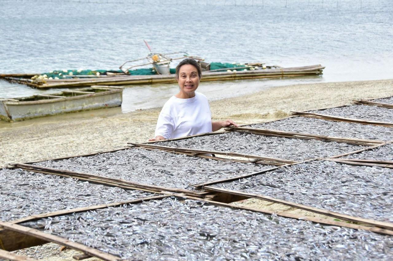 Legarda: Stop massive fish imports, help fishers via fuel VAT suspension