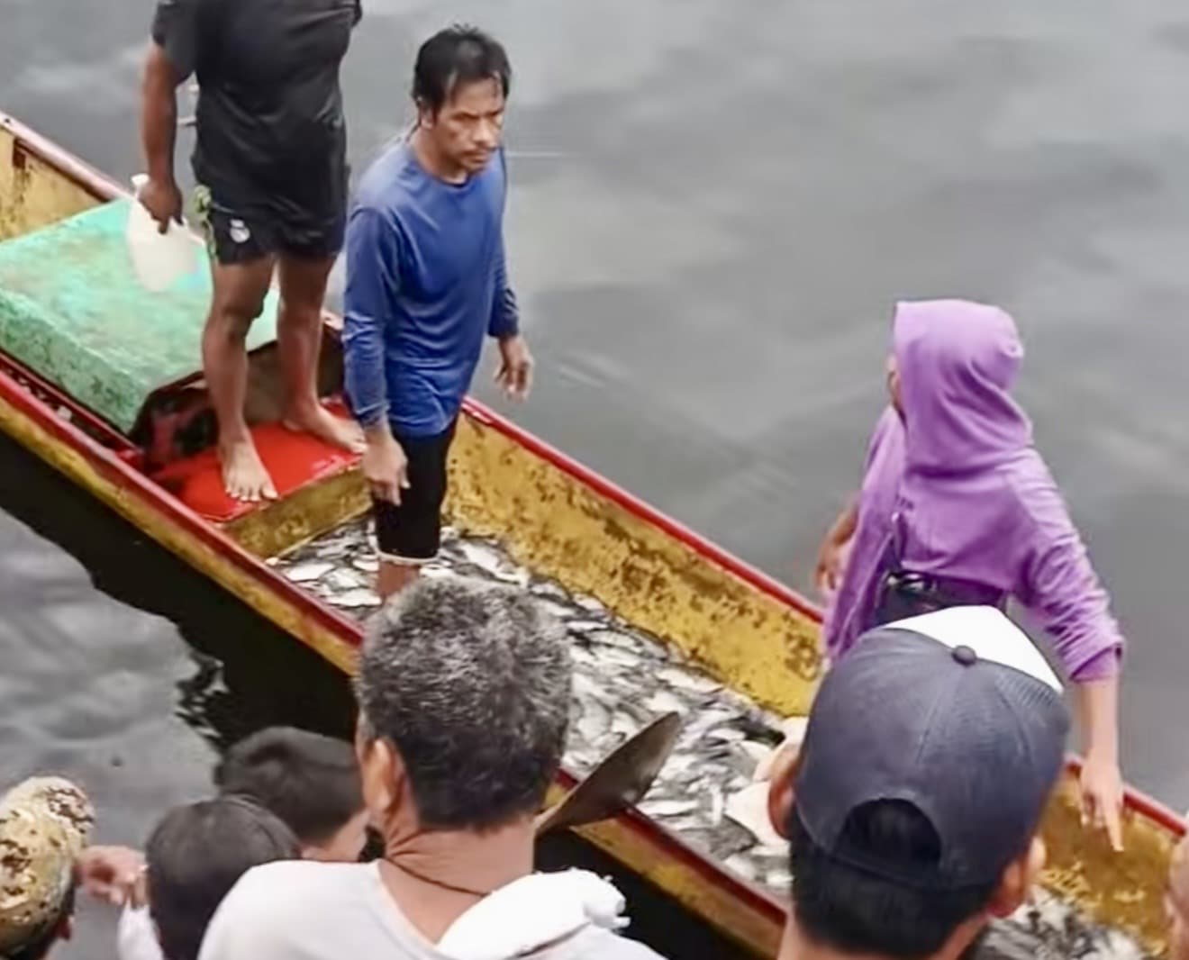 BFAR probes fish kill in Bicol’s Lake Buhi