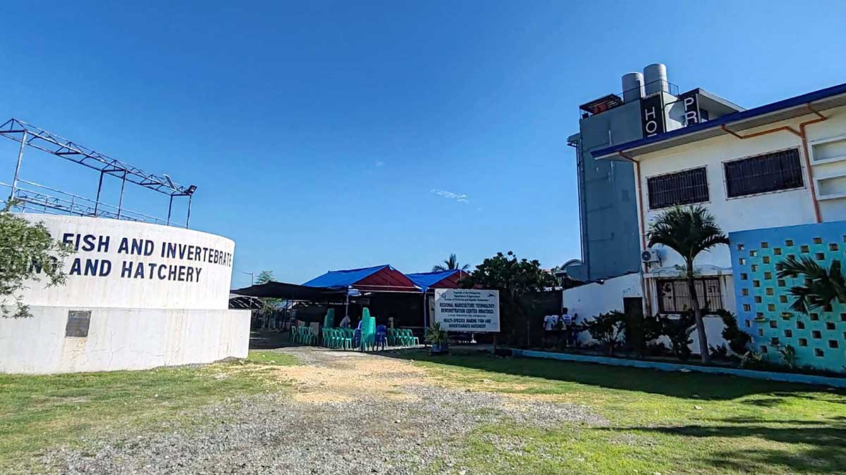 BFAR secures rights to longtime fisheries site in Alaminos City
