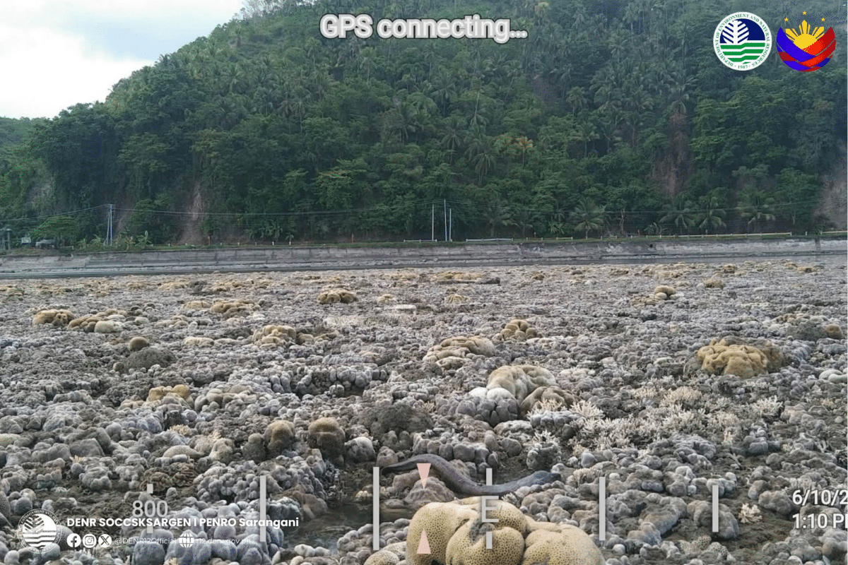 EXPLAINER: What is a coastal uplift?