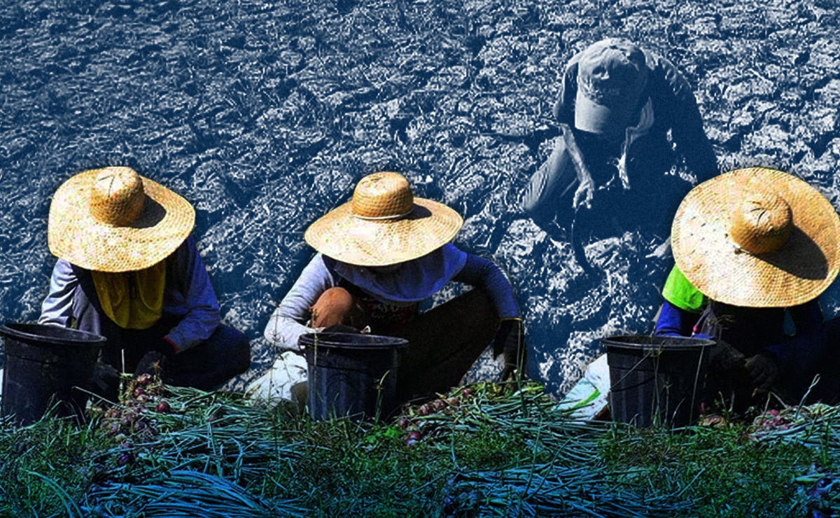 El Niño history shows pattern of short-term fixes