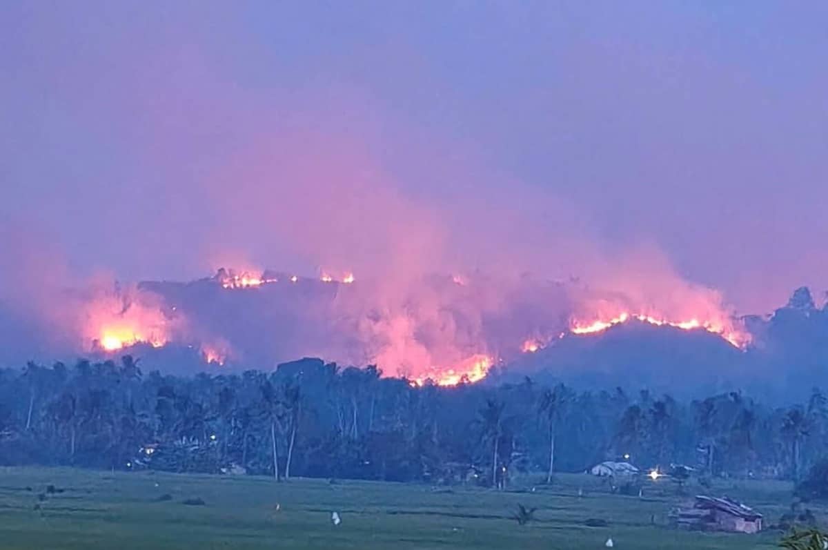 Grass fire burns 7 hectares of land in Southern Leyte town