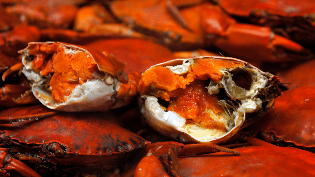 PhilExport-Negros: US ban on PH blue crab imports threatens livelihoods