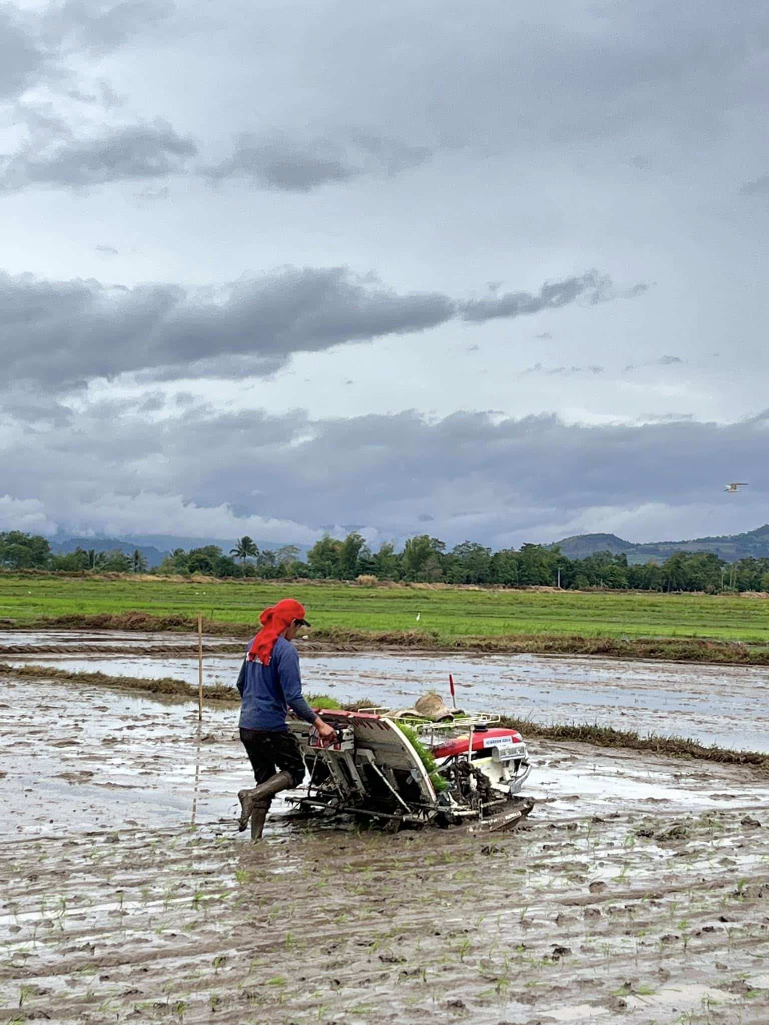 DA: 5 fertilizer firms face suspension over alleged violations