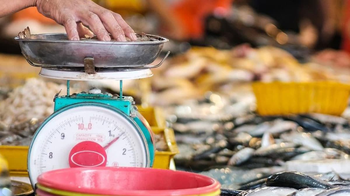 Mixed trend in Iloilo City fish prices; premium seafood remains costly