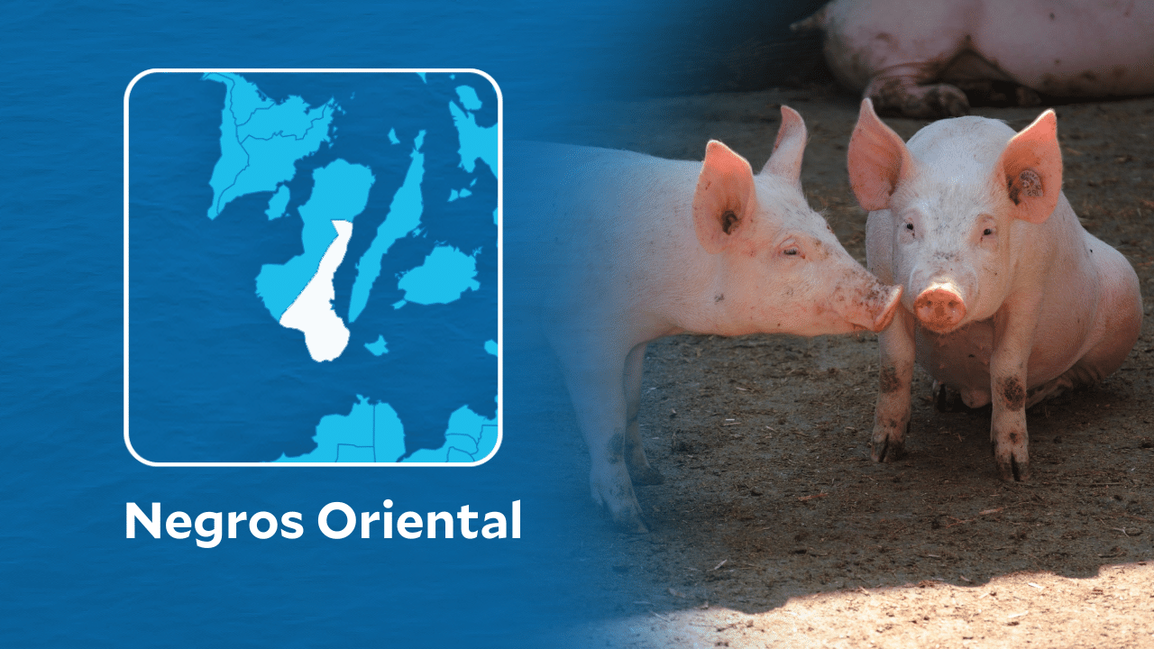 Negros Oriental bans hogs, pork products from ASF-hit areas