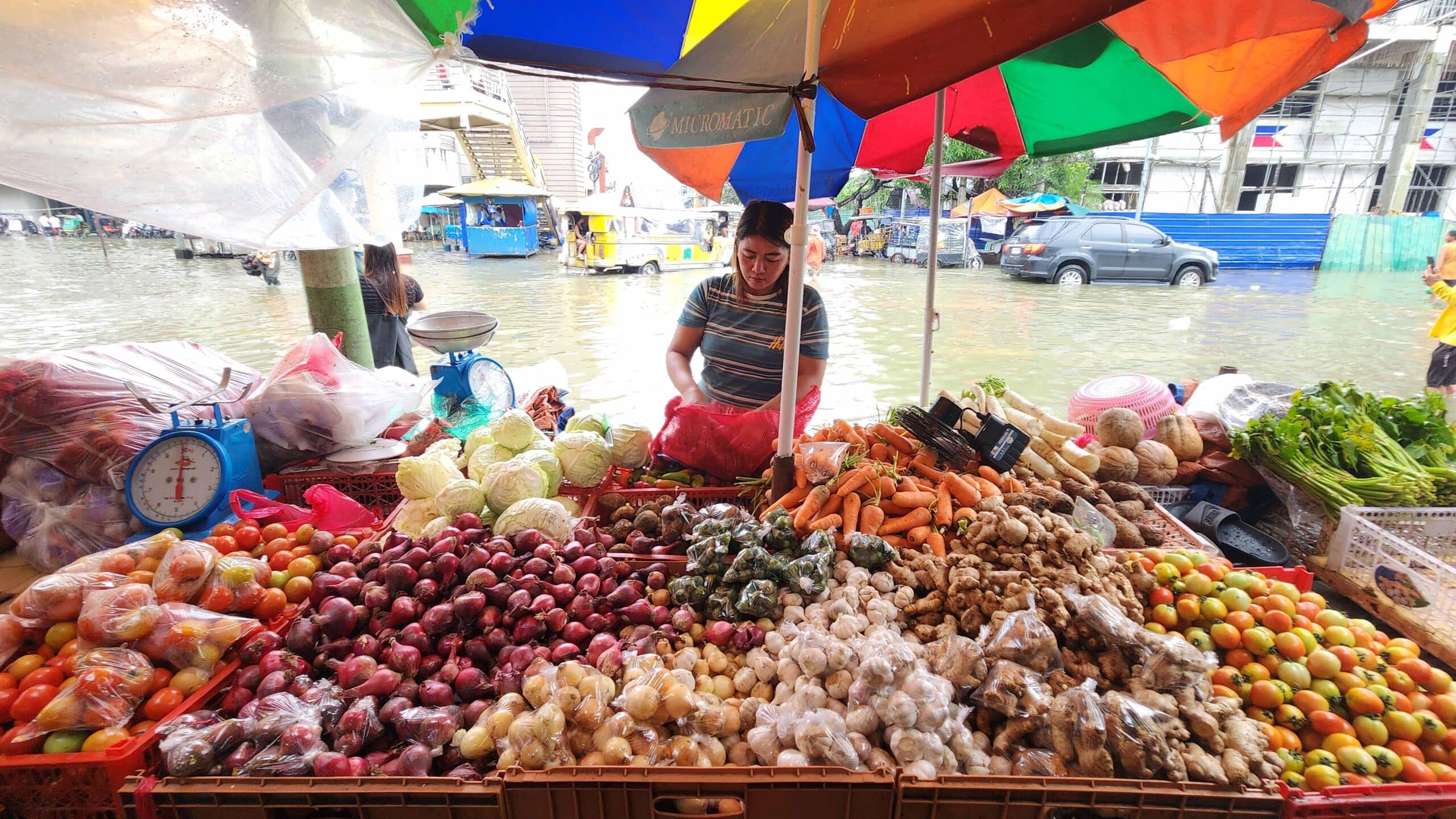 Benguet vegetable traders lose due to NLEx gridlock