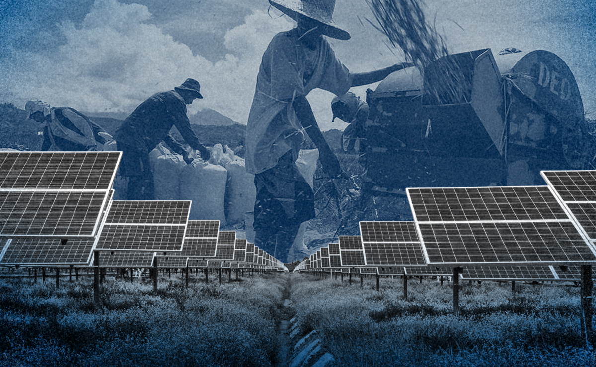 Can agrosolar balance renewable energy and food security?