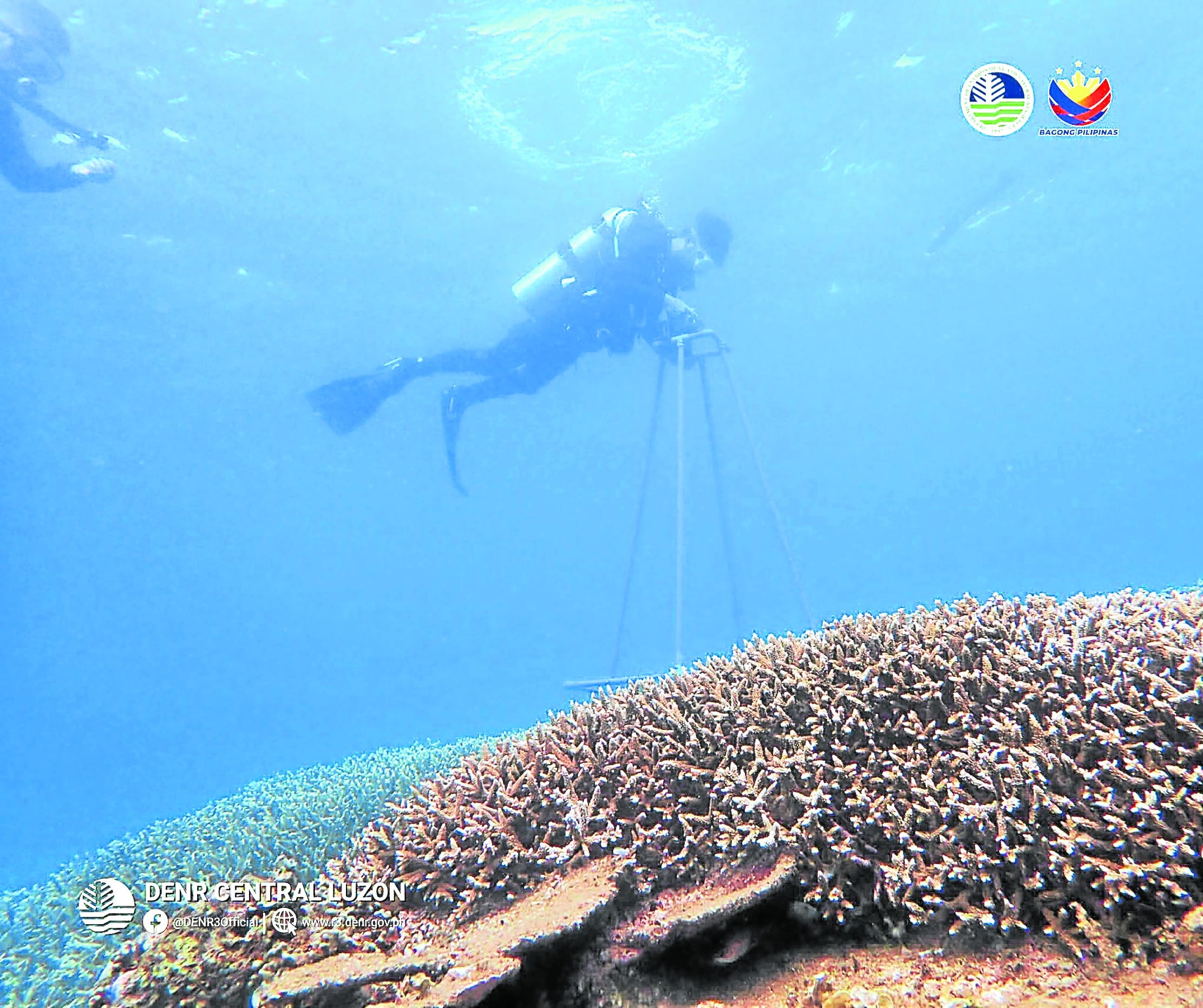 Zambales expands MPA network with 2 new sanctuaries