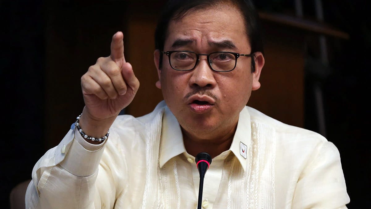 Leachon disputes reports naming ex-DOH exec as sole PCP complainant