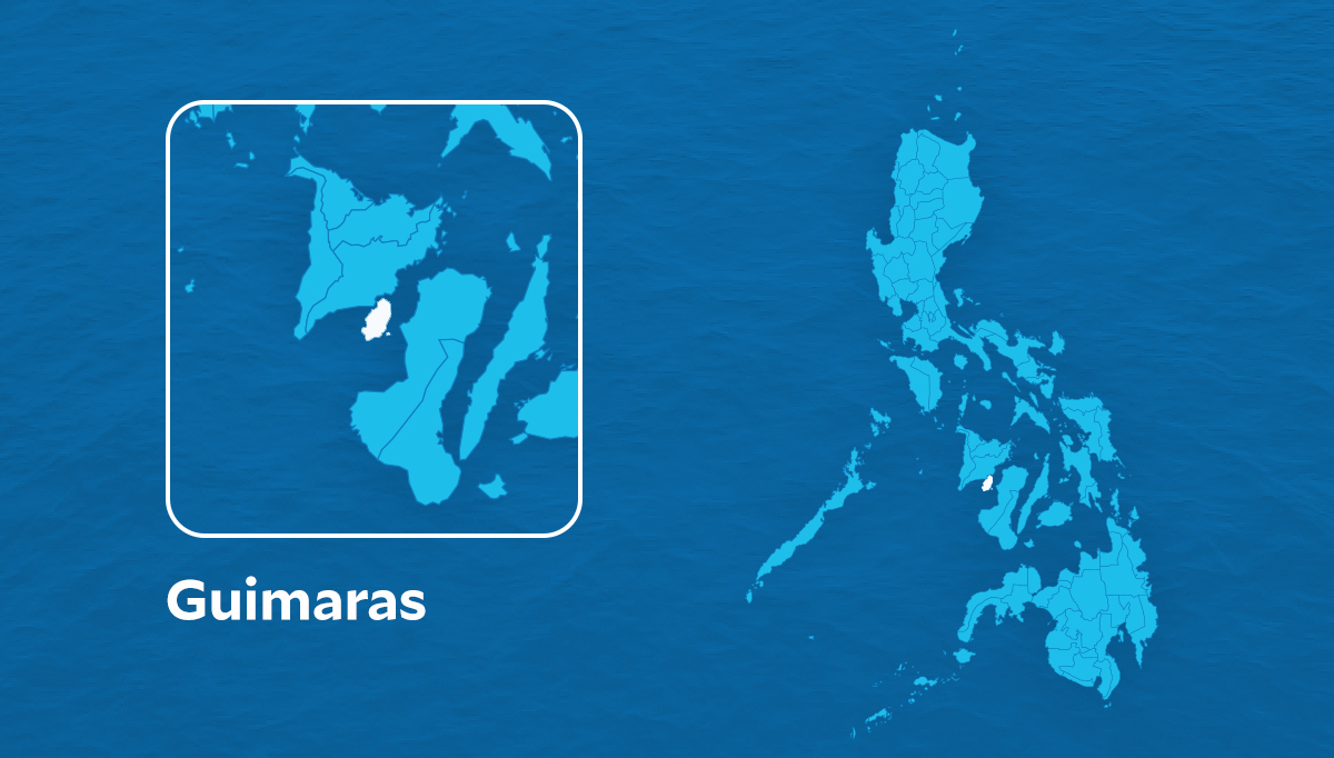 Guimaras mayor wants swine entry permit waived amid ASF threat