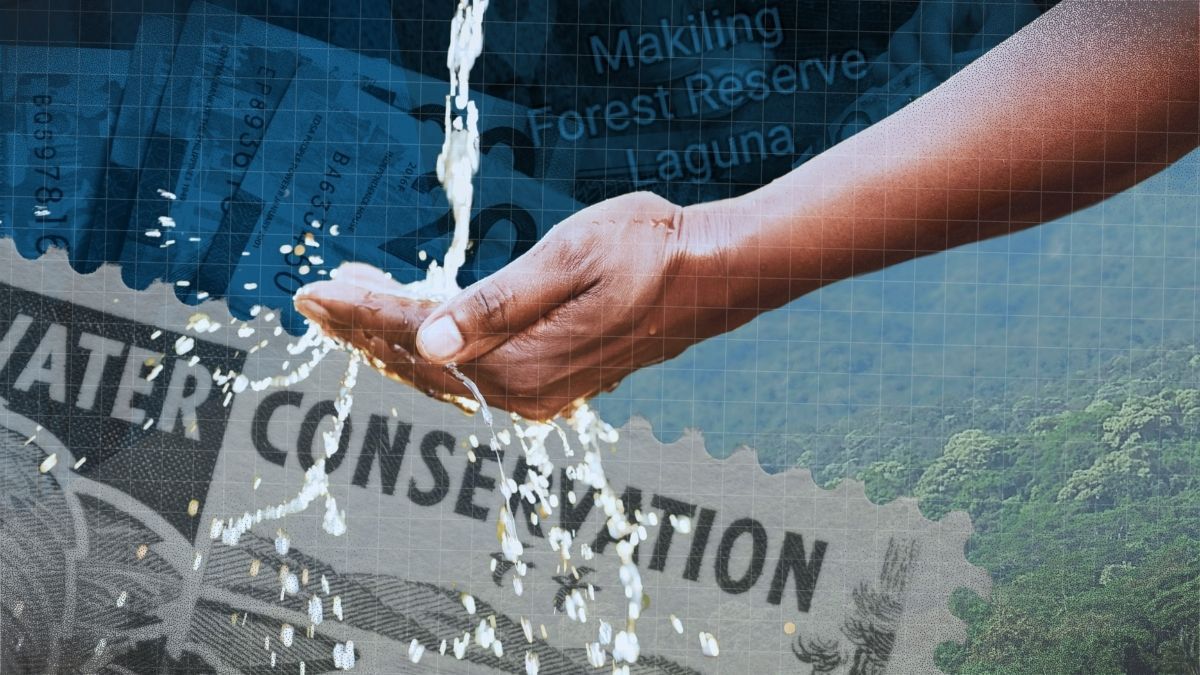 UP study: Resort visitors willing to pay P75 to conserve Mt. Makiling