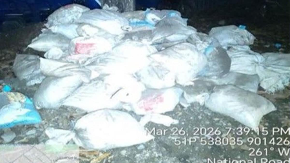 4 nabbed in Zamboanga del Sur anti-illegal mining raid