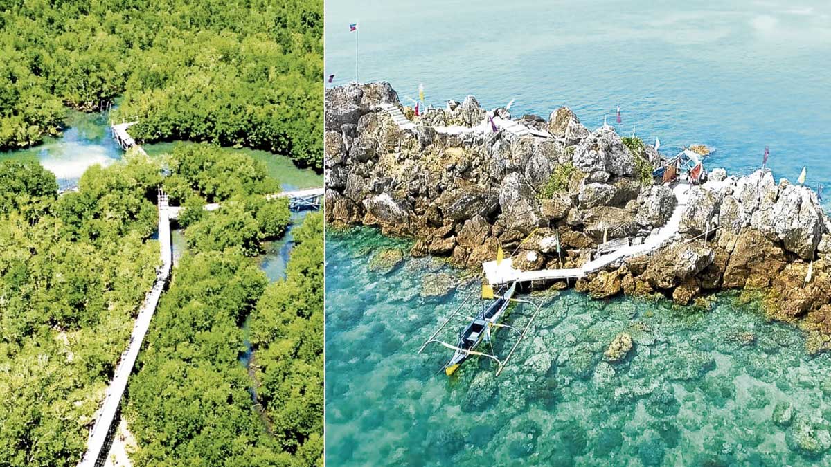 Ligao’s coastal waters get new lease on life