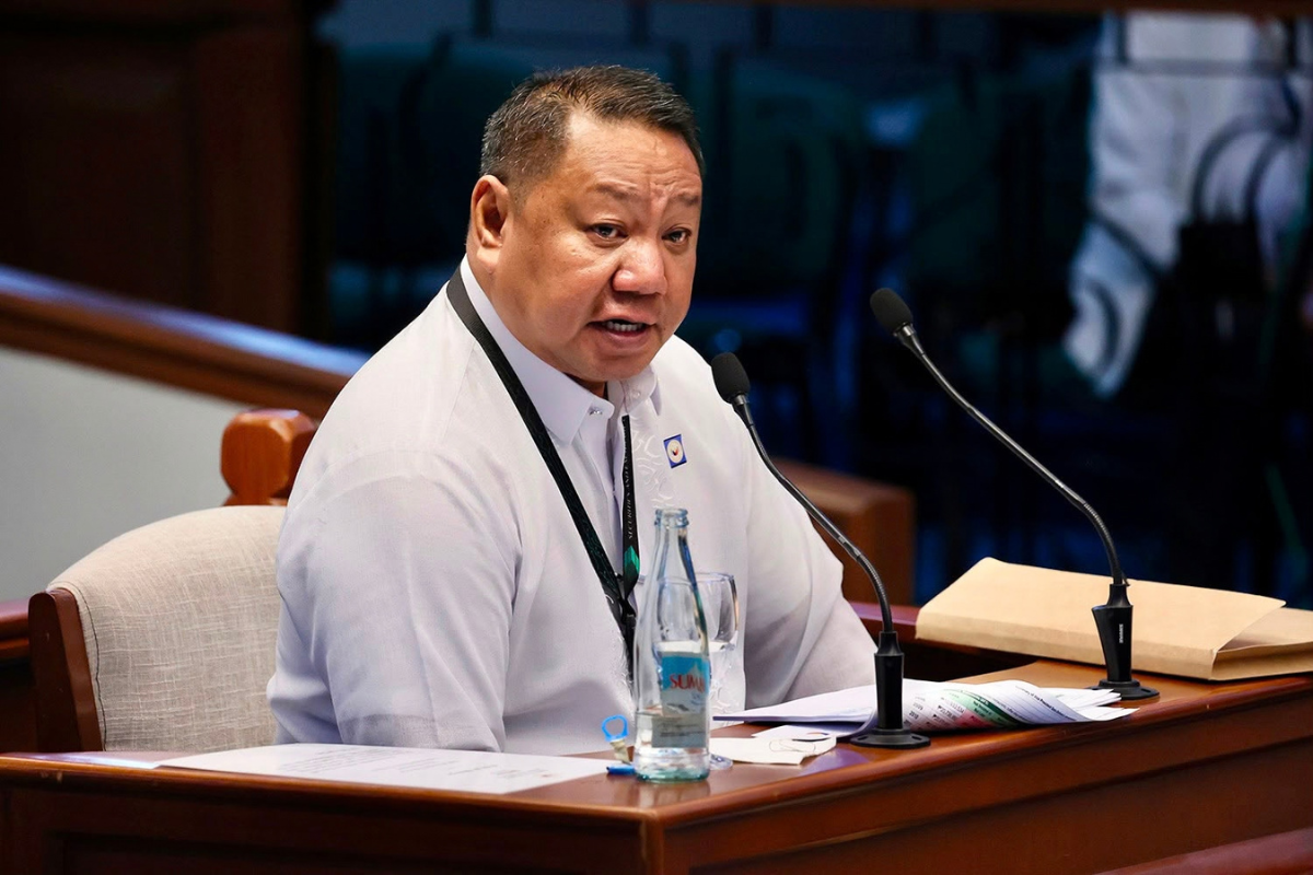 WATCH: Constitution bars VP from other profession, business – witness