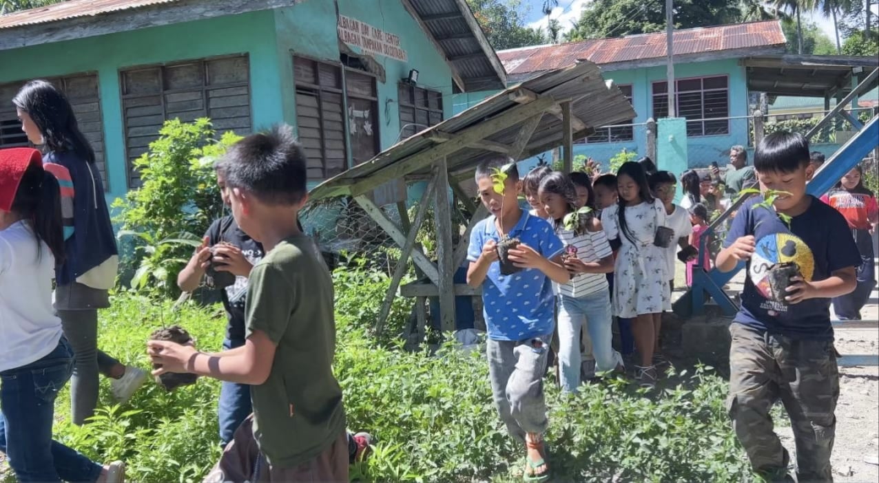 DENR shifts focus from planting to ensuring seedling survival